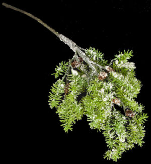 Artificial  Ice Kissed Fuji Fir Branch Green/White 44"